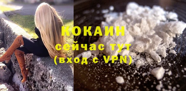 стаф Ладушкин