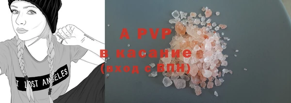 стаф Ладушкин