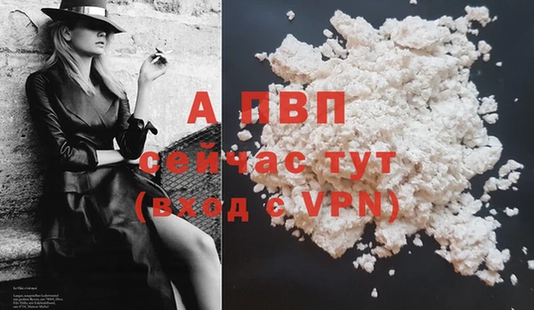ECSTASY Лабытнанги
